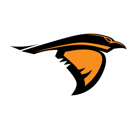 Anderson (IN) logo