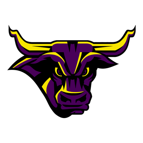 Minnesota State Mankato logo