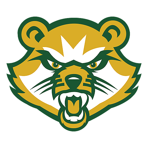 Saint Vincent logo